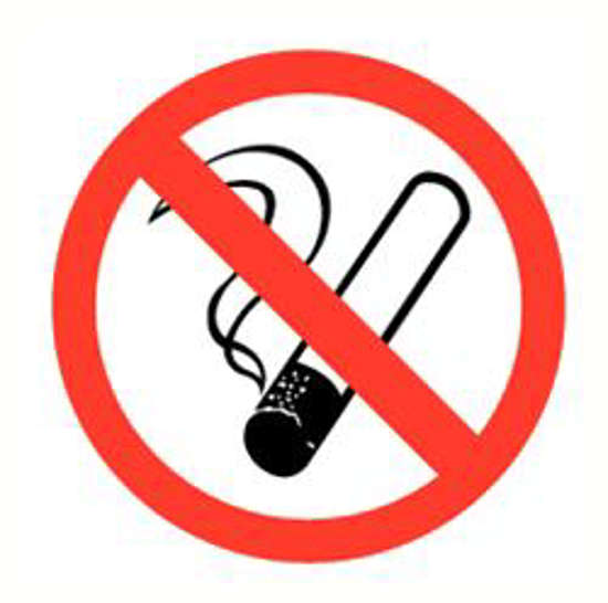 Afbeelding van Bord Roken verboden 300mm PVC 333